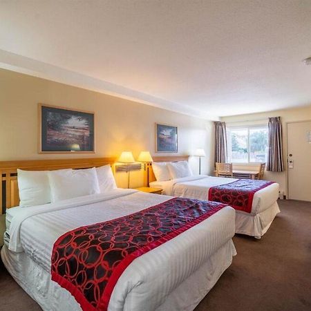 Canada'S Best Value Desert Inn & Suites Кэш-Крик Экстерьер фото