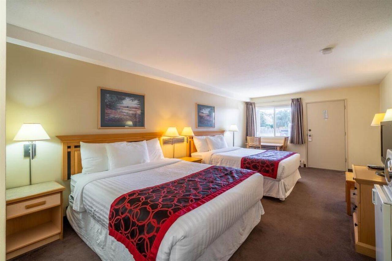 Canada'S Best Value Desert Inn & Suites Кэш-Крик Экстерьер фото